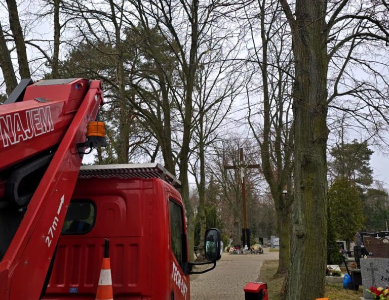 Trwają podcięcia pielęgnacyjne na terenie cmentarza w Dziwnowie