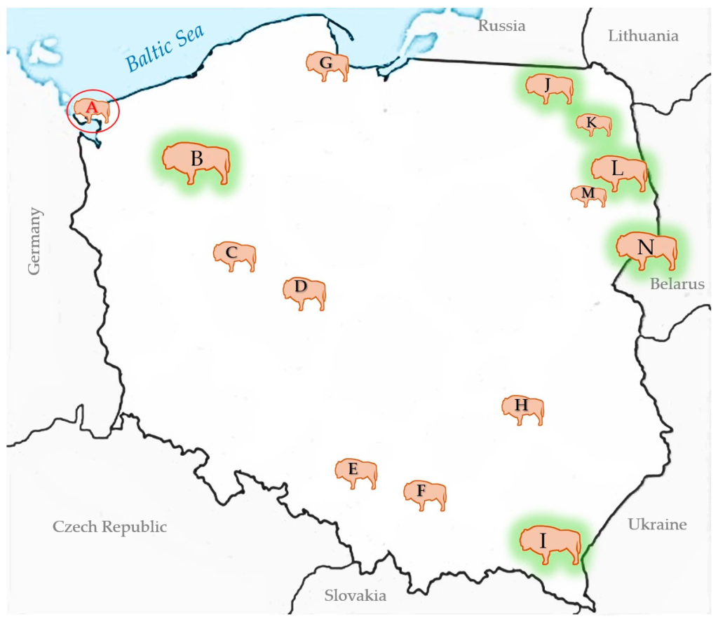 btv-3 woliński park narodowy wirus niebieskiego języka