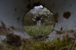wymiana fotograficzna międzywodzie