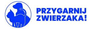 przygarnij zwierzaka kamień plus
