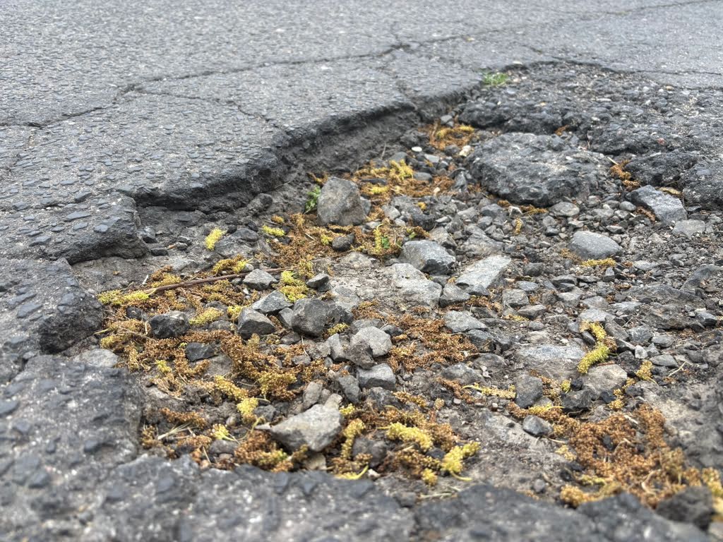 ulica matejki kamień pomorski