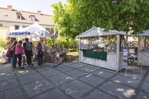 piknik pod lipą dziwnów