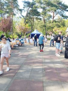 piknik pod lipą dziwnów