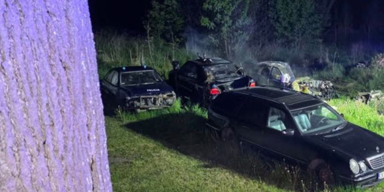 Pożar samochodów na prywatnej posesji w Gostyniu