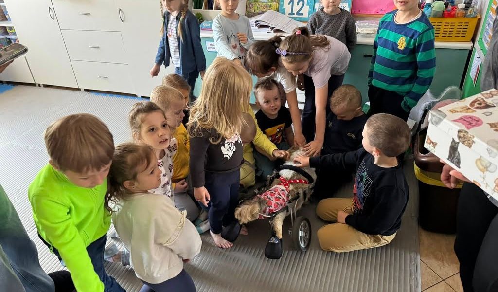 fundacja psia kość przedszkolę w dechę