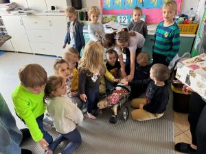 Niepełnosprawny psi bohater wśród przedszkolaków – spotkanie z Rzepusiem w Przedszkolu "W Dechę"!