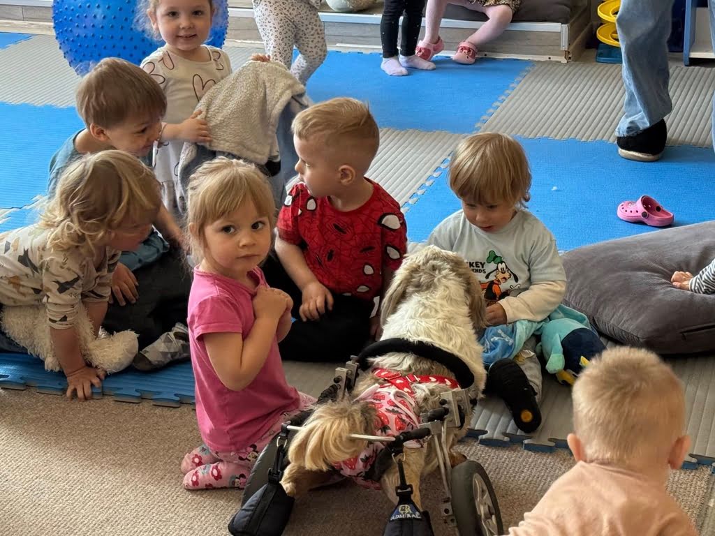 fundacja psia kość przedszkolę w dechę