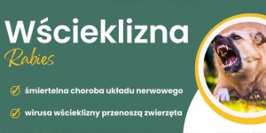 Szczepienia psów na wściekliznę 31 maja w gminie Dziwnów