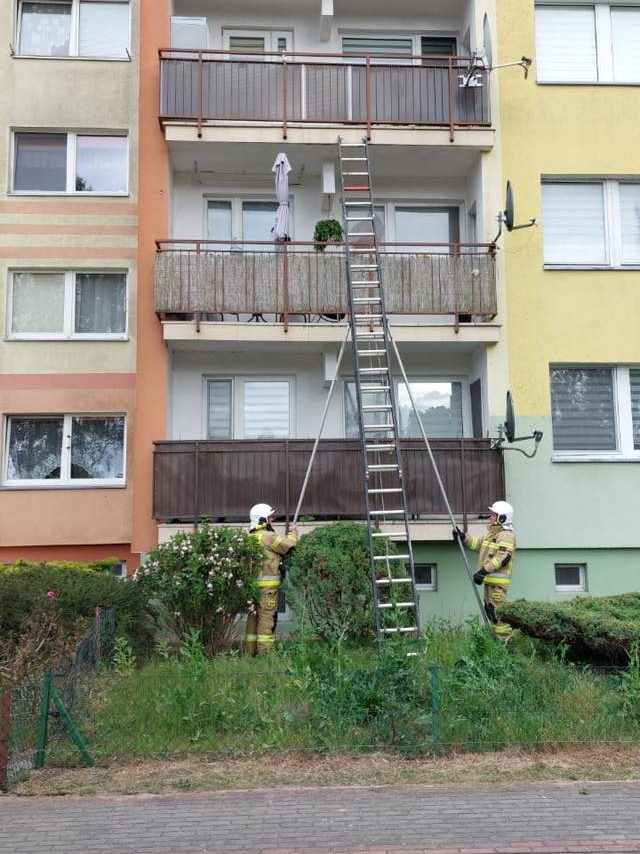 nietypowa interwencja osp dziwnów