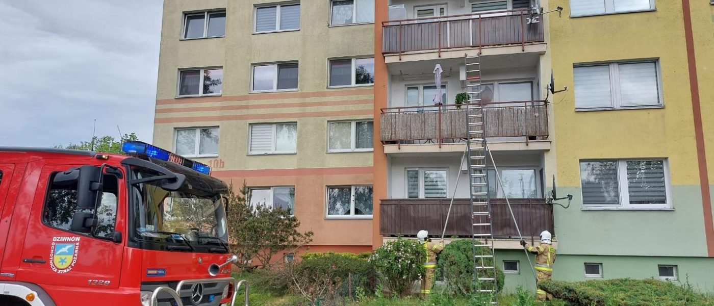nietypowa interwencja osp dziwnów