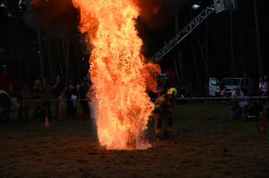 akademia młodego bohatera dziwnów