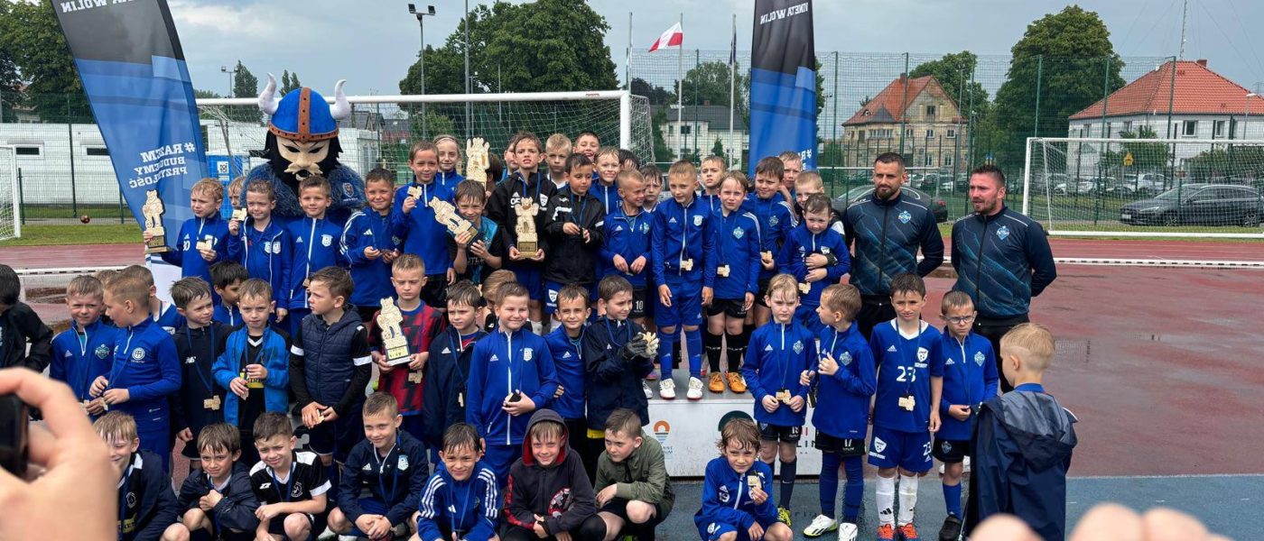 viking cup