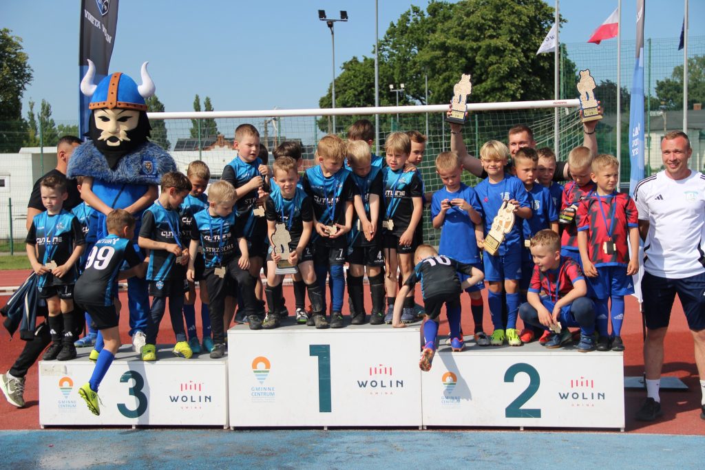 viking cup