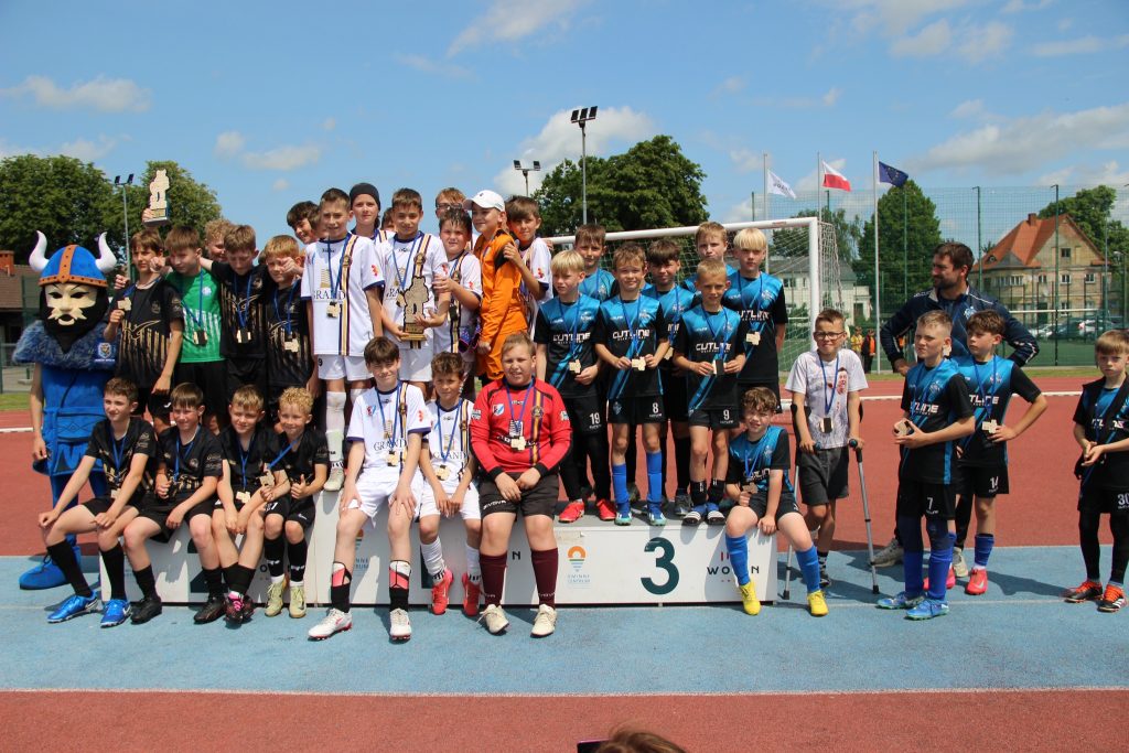 viking cup