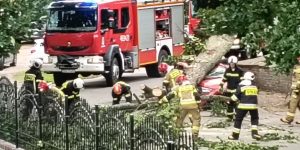 Samochód zmiażdżony przez drzewo w Jarszewie