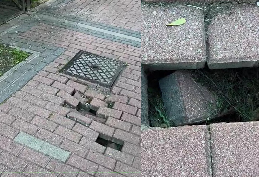 szczurzy problem w Kamieniu Pomorskim