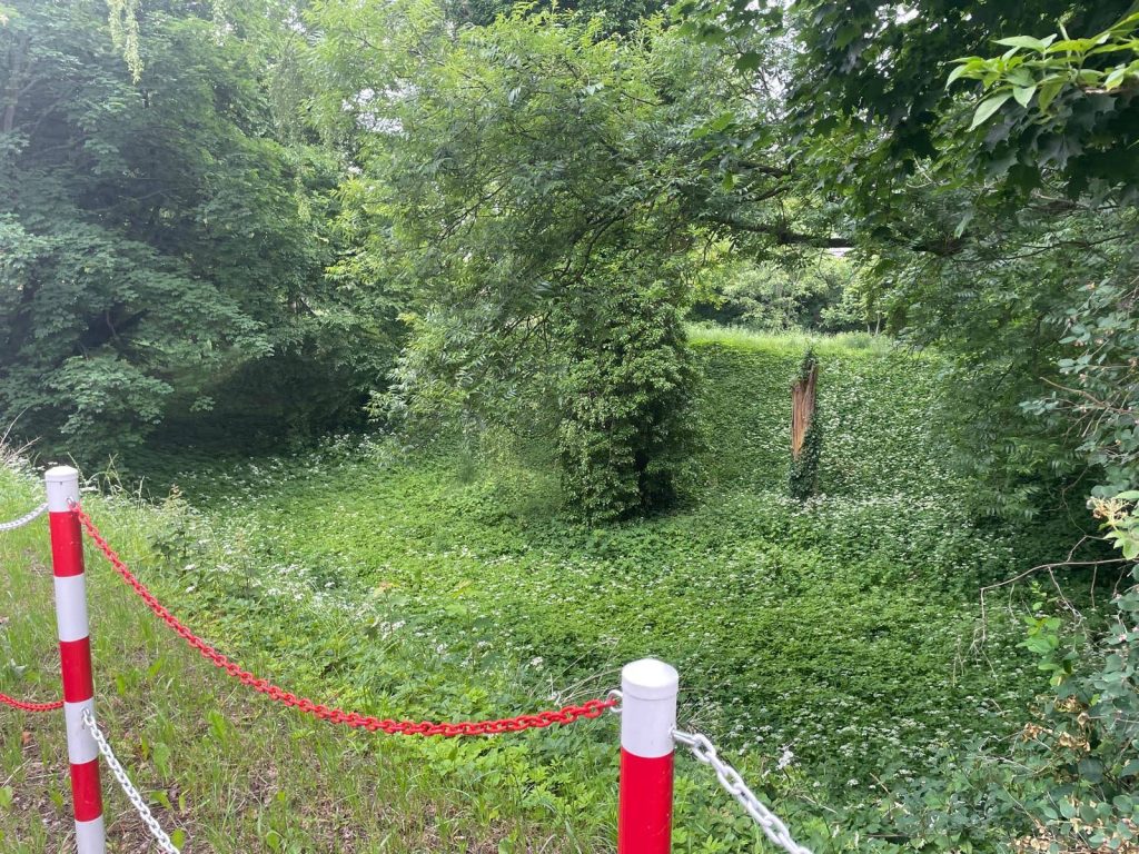 kamien wita sezon jest i gwiazdka