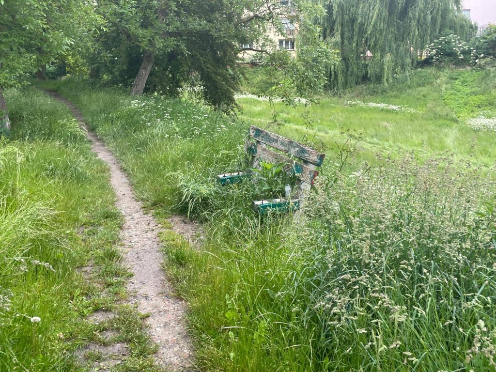 kamien wita sezon jest i gwiazdka