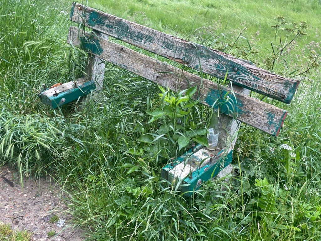 kamien wita sezon jest i gwiazdka