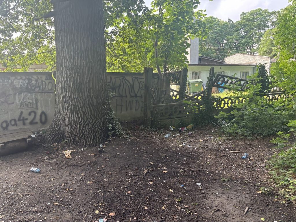 coś niedobrego dzieje się z parkiem przy ul szczecińskiej
