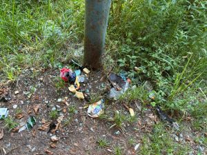 coś niedobrego dzieje się z parkiem przy ul szczecińskiej
