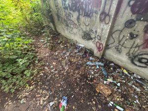 coś niedobrego dzieje się z parkiem przy ul szczecińskiej