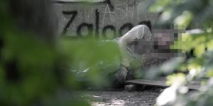 Coś niedobrego dzieje się z parkiem przy ul. Szczecińskiej