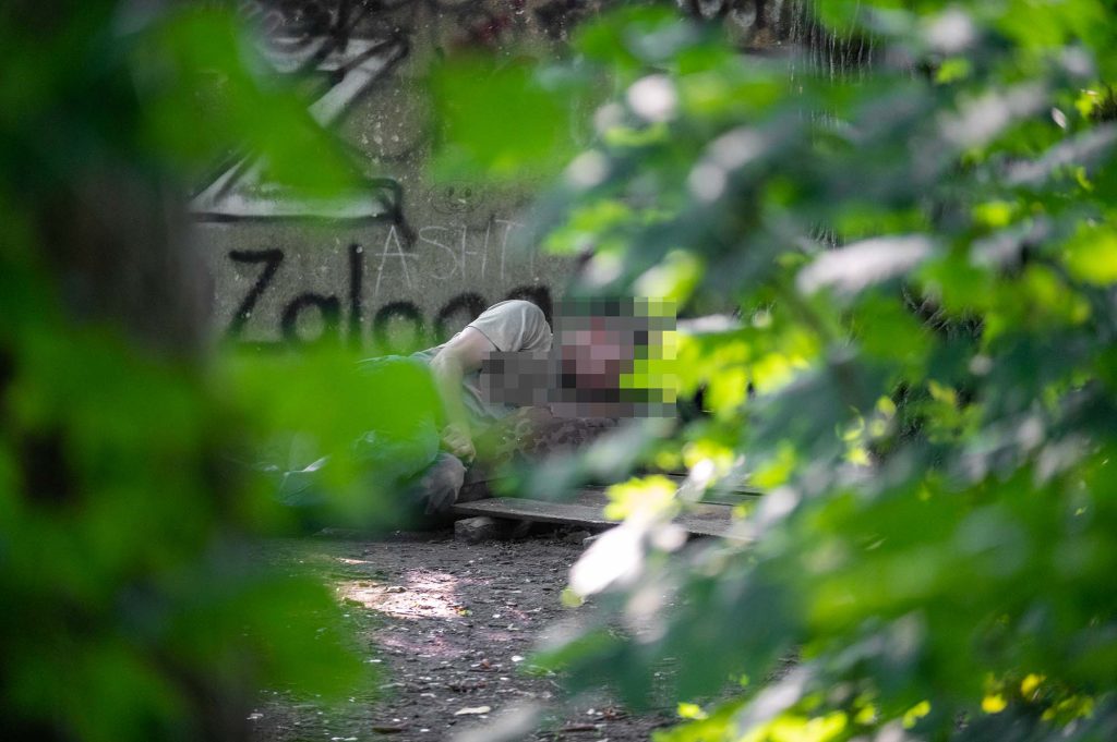 coś niedobrego dzieje się z parkiem przy ul szczecińskiej