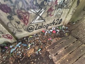 coś niedobrego dzieje się z parkiem przy ul szczecińskiej