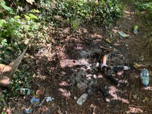 coś niedobrego dzieje się z parkiem przy ul szczecińskiej