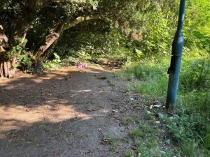 coś niedobrego dzieje się z parkiem przy ul szczecińskiej