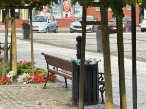 mewy ogarniają śmietniki w kamieniu a pgk