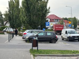 mewy ogarniają śmietniki w kamieniu a pgk