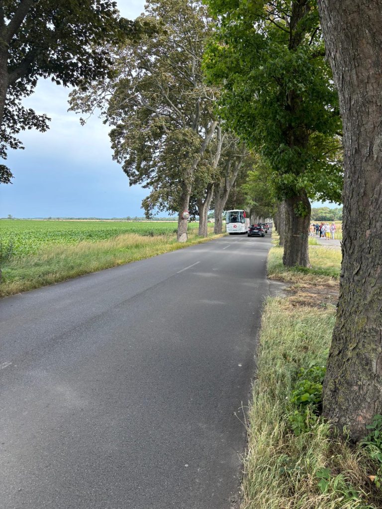 autobus uderzył w drzewo pod uninem