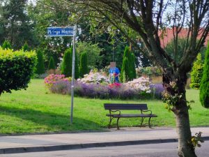 kwiaciarnia po co z klombów miejskich kwiaty są za darmo