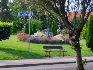 kwiaciarnia po co z klombów miejskich kwiaty są za darmo