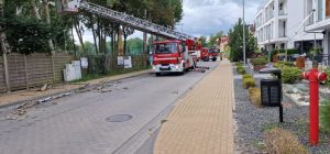 Niebezpieczne drzewo usunięte w Dziwnowie