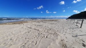 Usunięto ciało martwego wieloryba z plaży w Wisełce