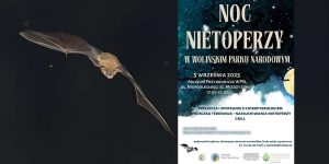 Noc Nietoperzy w Wolińskim Parku Narodowym — to już niedługo!
