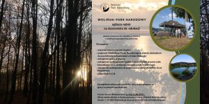 Praca wśród dzikiej przyrody – Woliński Park Narodowy rekrutuje!