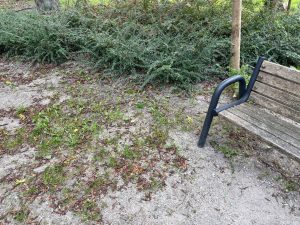 rewitalizacja placu 5 marca