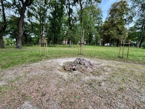 rewitalizacja placu 5 marca