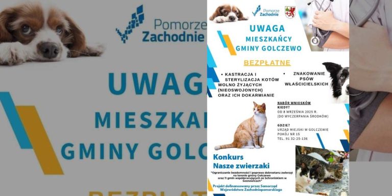 Golczewo: Bezpłatna sterylizacja, kastracja i czipowanie psów i kotów