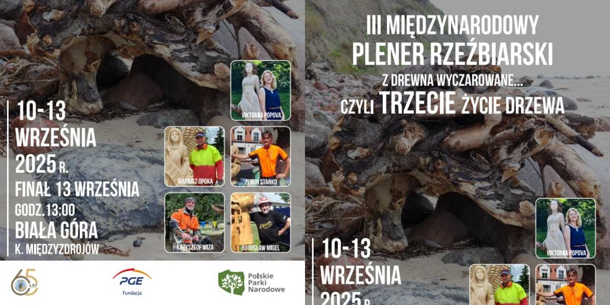 II Międzynarodowy Plener Rzeźbiarski w Wolińskim Parku Narodowym