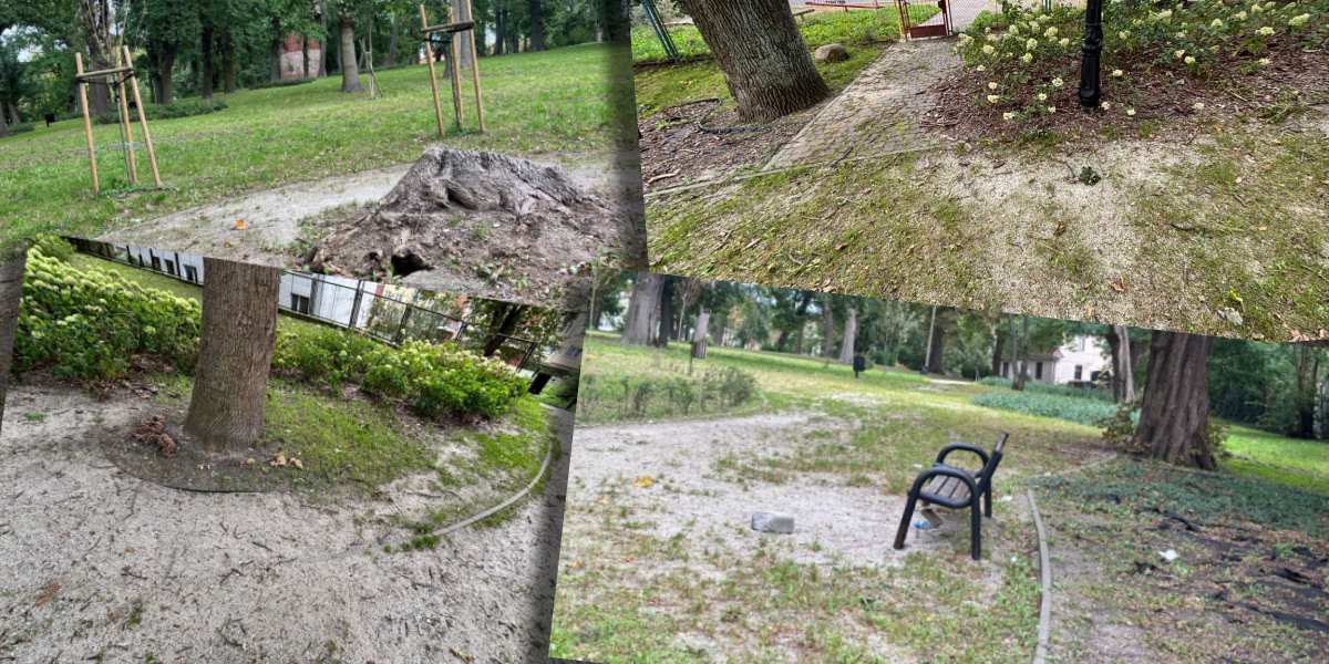 Rewitalizacja Placu 5 Marca za 14 mln zł w cieniu podupadłego Parku Jana Pawła II