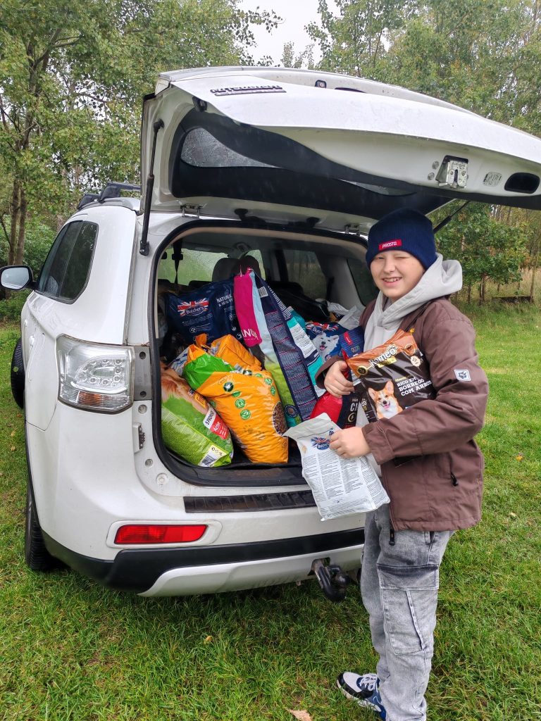 region ruszył z pomocą dla schroniska w sosnowicach