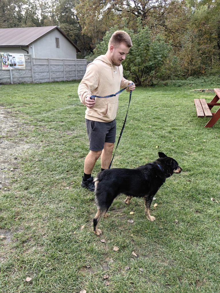 region ruszył z pomocą dla schroniska w sosnowicach