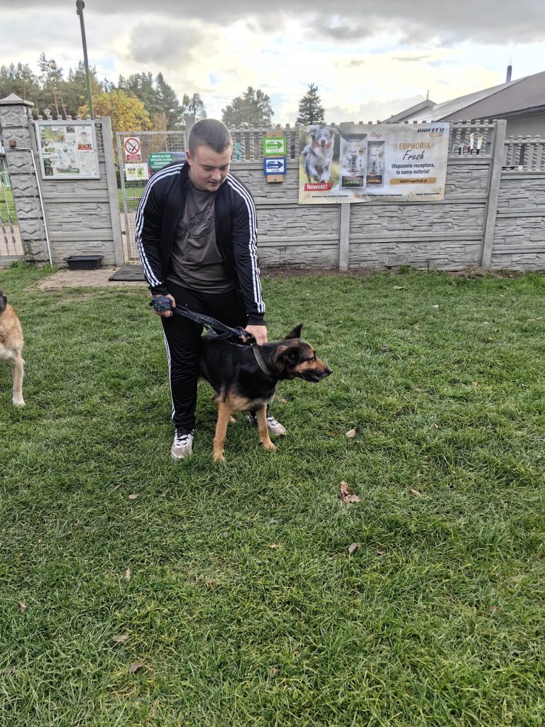 region ruszył z pomocą dla schroniska w sosnowicach