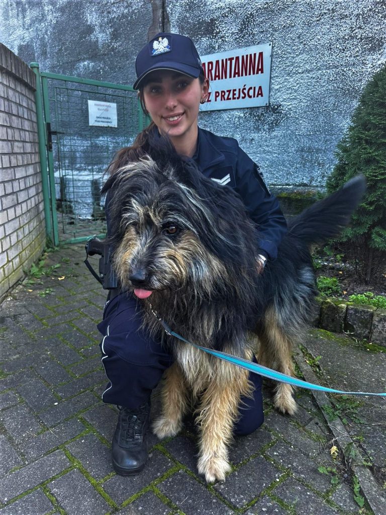 Pies z Wolina samotnie pojechał pociągiem do Świnoujścia