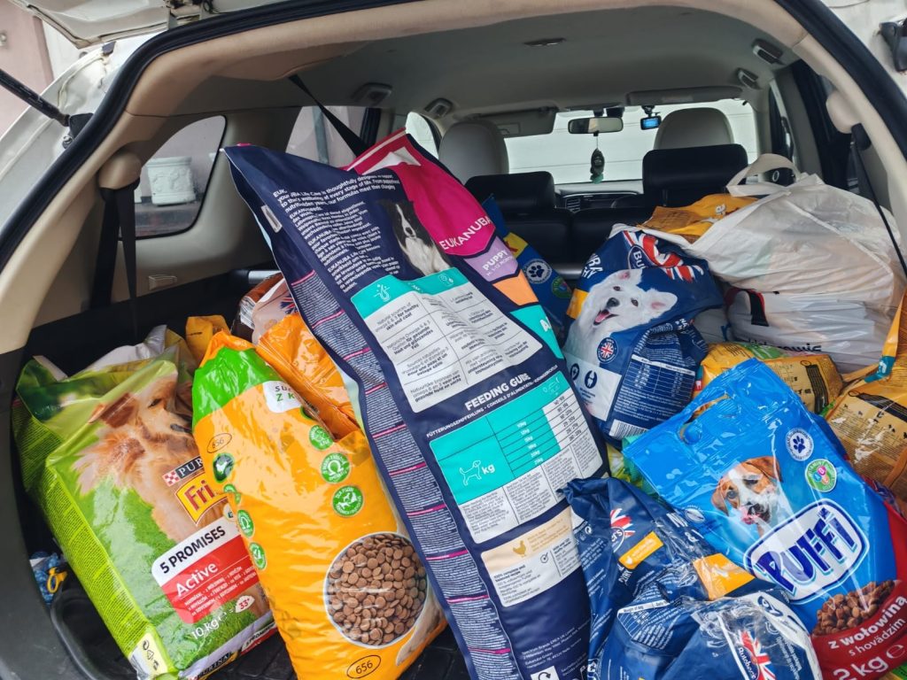 region ruszył z pomocą dla schroniska w sosnowicach